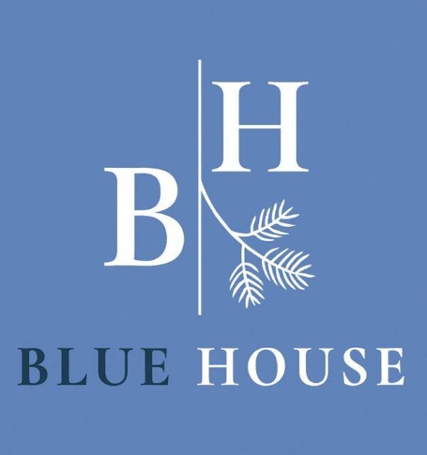 blue house logo
